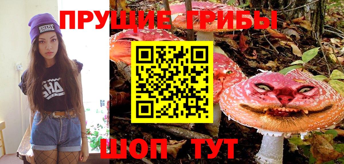 Галлюциногенные грибы Psilocybine cubensis Черемхово