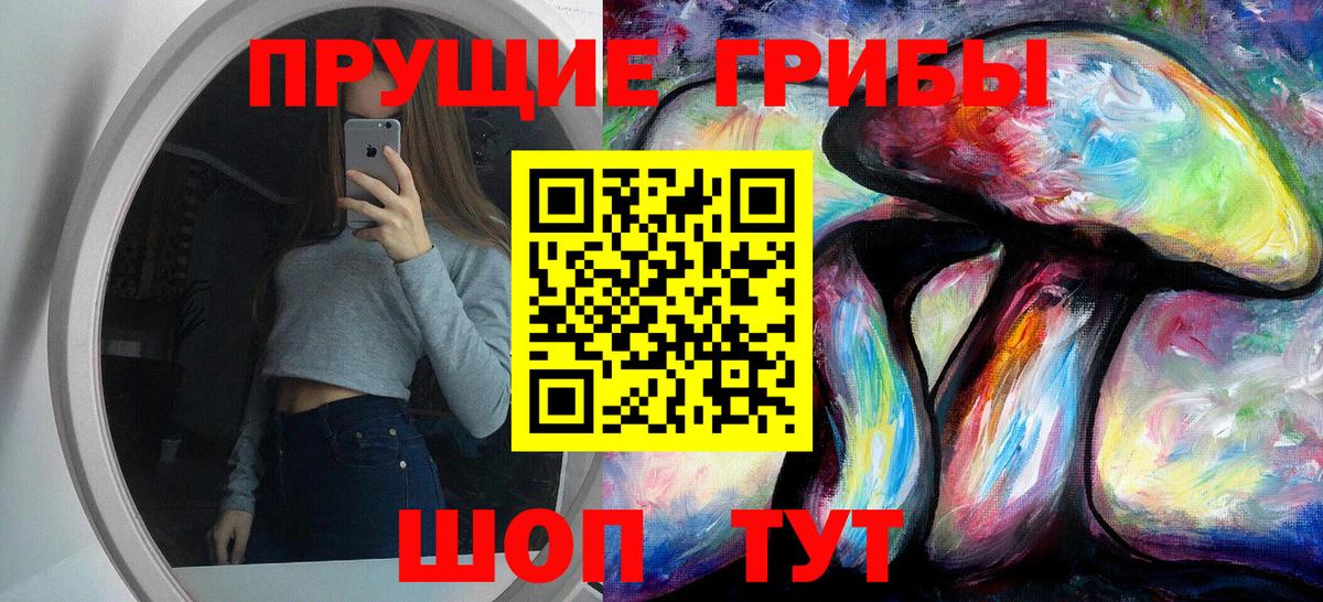 Галлюциногенные грибы Magic Shrooms  Вход с VPN  Галлюциногенные грибы GOLDEN TEACHER  где купить наркотик  Черемхово 